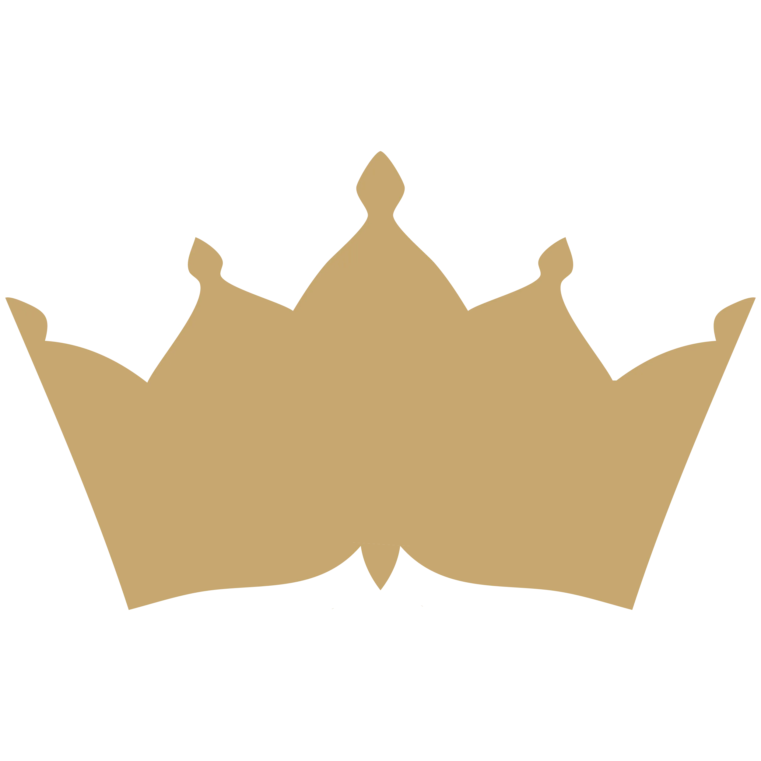 The Regina Resort Icon