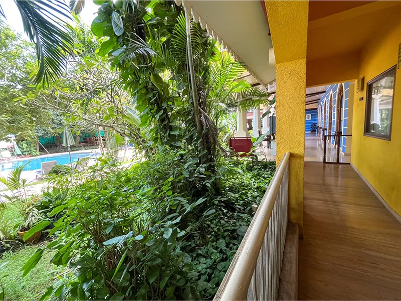 View 2 of Specially Abled Room